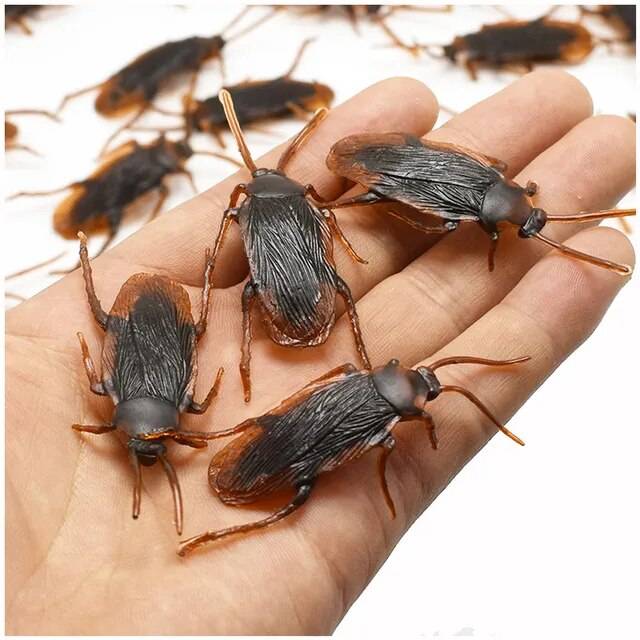 Faux insectes en plastique (de 5 à 50 pièces)